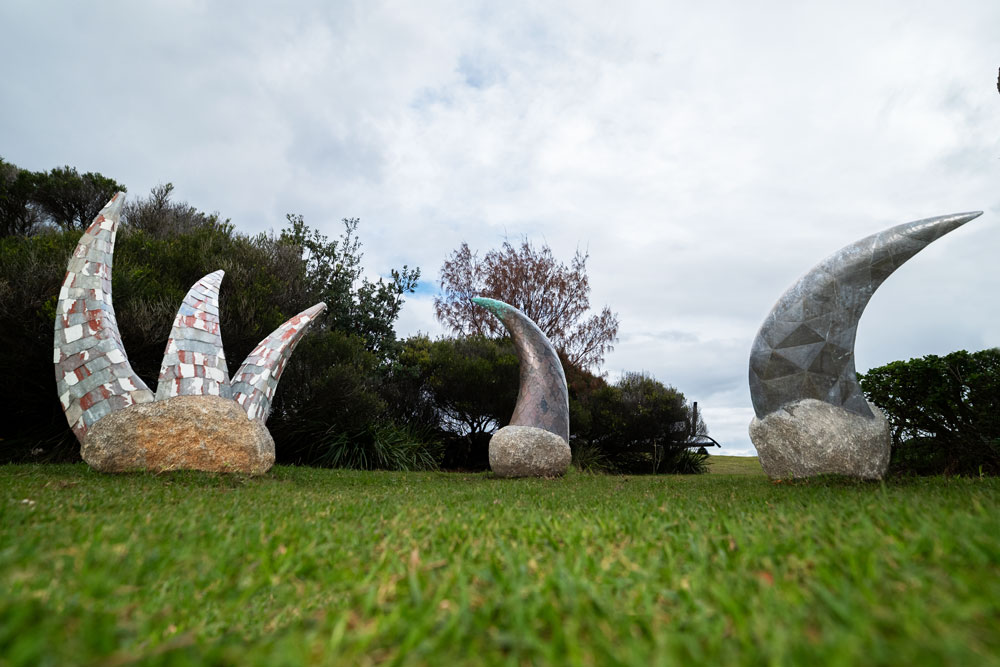 Plumules Variations by David Jensz — photo 1 of 5