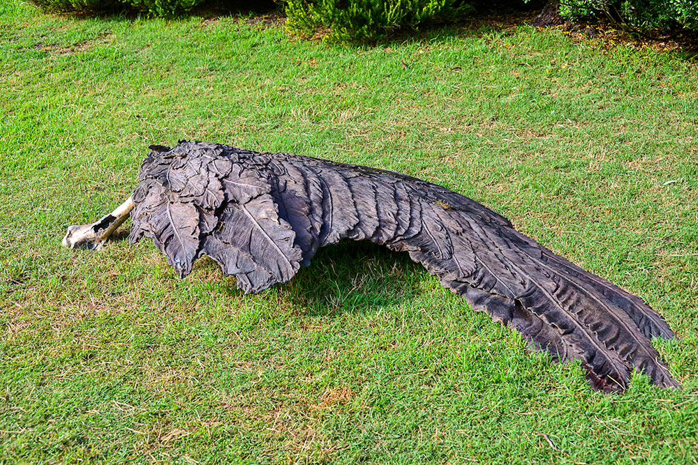 Garuda, the Silent Flight by Deepak Kumar — photo 1 of 4