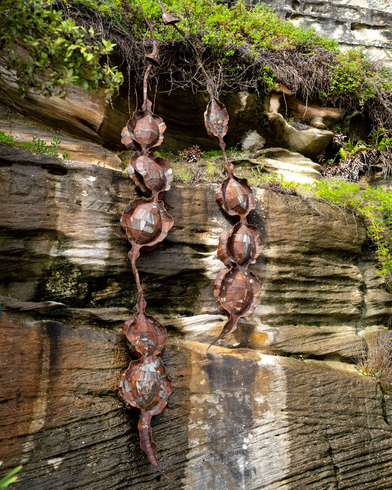 Kākano & Kōwhai (2024) by Hannah Kidd — photo 1 of 5