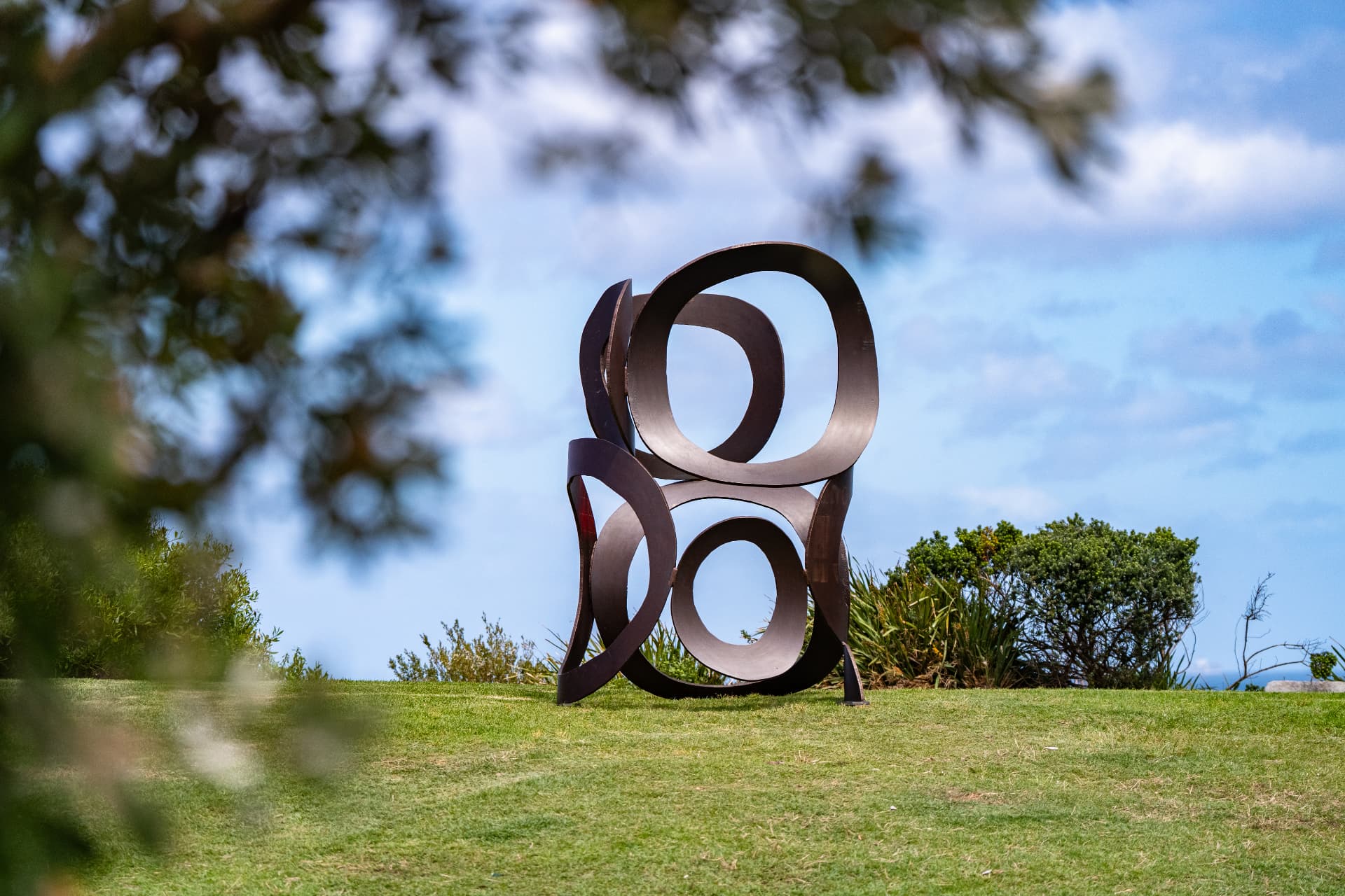 Solander by James Rogers — photo 1 of 3