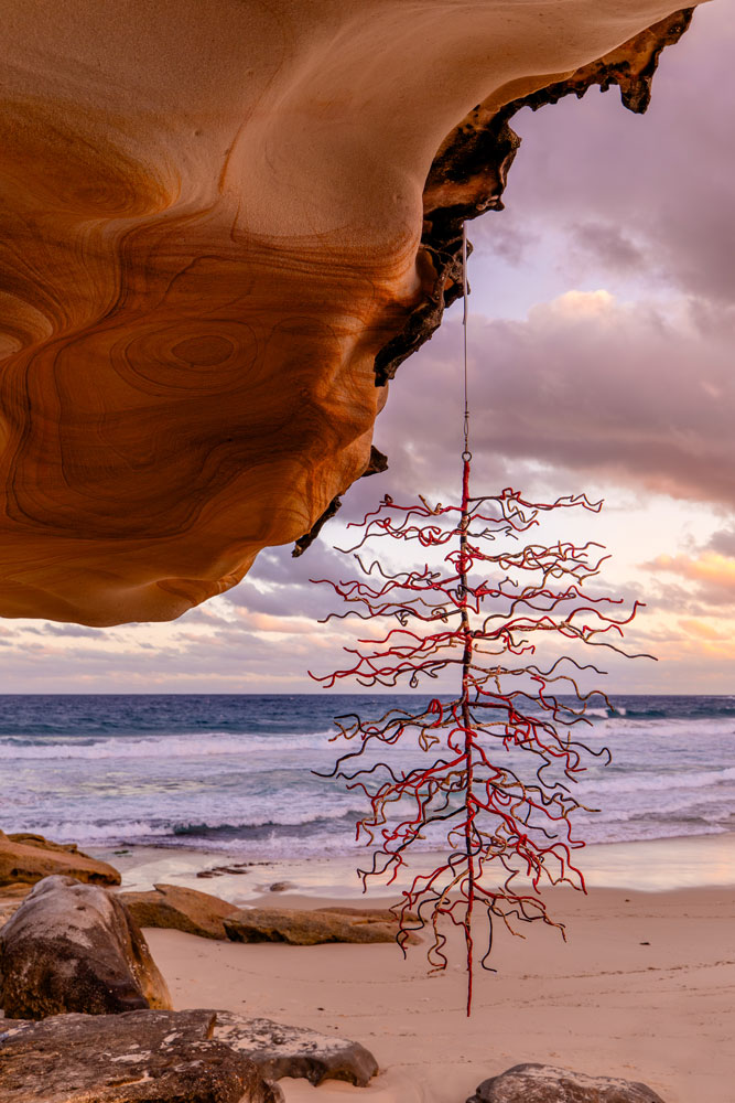 Rooted in Memories by Yuri Miyashita — photo 1 of 3